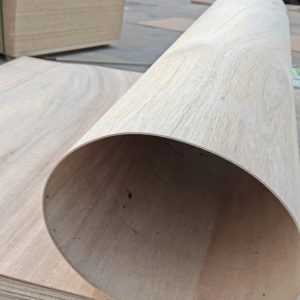 Paulownia Bent Plywood