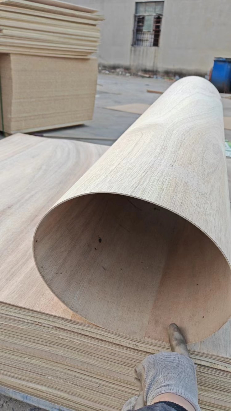 Paulownia Bent Plywood